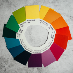 Palette de couleurs : comment bien choisir la vôtre ?